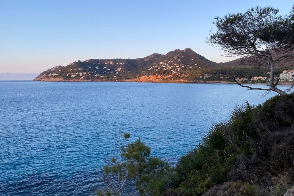 Sunny Apartment 1B With Balcony & Pool In Canyamel Capdepera  Buitenkant foto